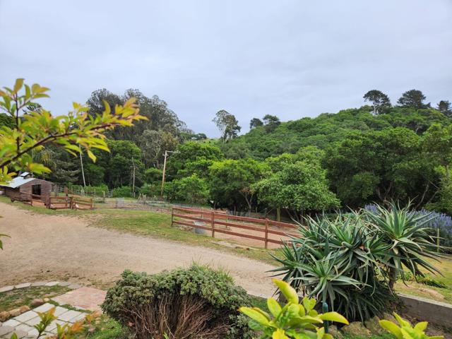 159 Strawberry Canyon Road, Royal Oaks CA: https://media.crmls.org/mediaz/886b4138-6cc6-4bd6-a4ec-8ba11e0d928f.jpg