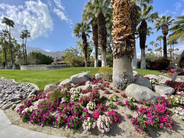 Image 3 for 2820 N Arcadia Court #205, Palm Springs, CA 92262
