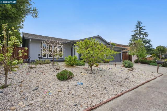 17 Bliss Ct., Pleasant Hill CA: https://media.crmls.org/mediaz/88766273-c7fa-4158-bc0b-0c52d231ad62.jpg