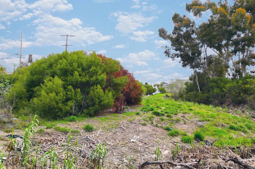 MLS #NDP2509260 image #5