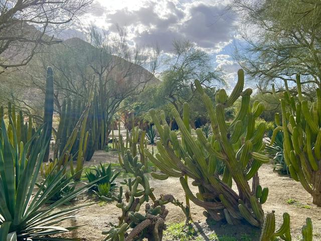 82501 65th Avenue, Thermal CA: https://media.crmls.org/mediaz/887fd324-e75b-430a-a3e6-df5ce135daca.jpg