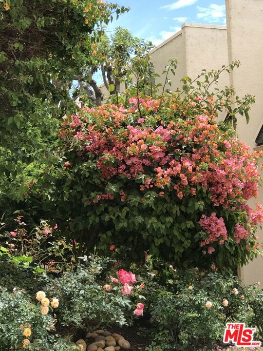 23901 Civic Center Way, Malibu CA: https://media.crmls.org/mediaz/8889b603-fa51-4037-a60f-71eb2e09407a.jpg