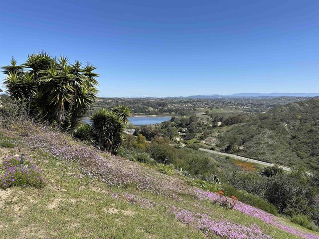 Detail Gallery Image 22 of 25 For 1729 Gascony Rd, Encinitas,  CA 92024 - 3 Beds | 2 Baths