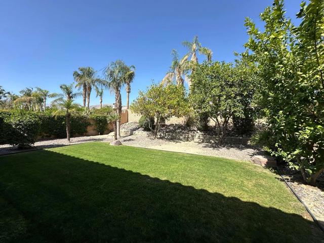 40589 Palm Court, Palm Desert CA: https://media.crmls.org/mediaz/888fcb90-c206-4c5c-b6f9-a01bb693aaed.jpg