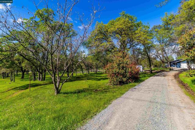 125 Sam Lynn Way, Oroville CA: https://media.crmls.org/mediaz/8892121a-f5ca-4c31-b1b5-ac95db3394d3.jpg