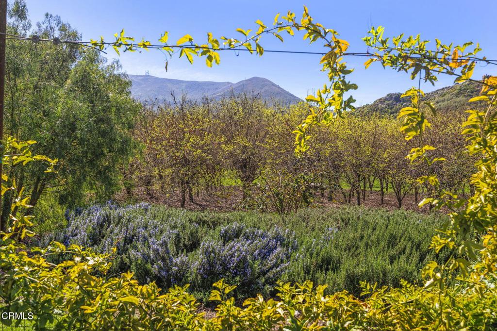 4620 Casitas Pass Road