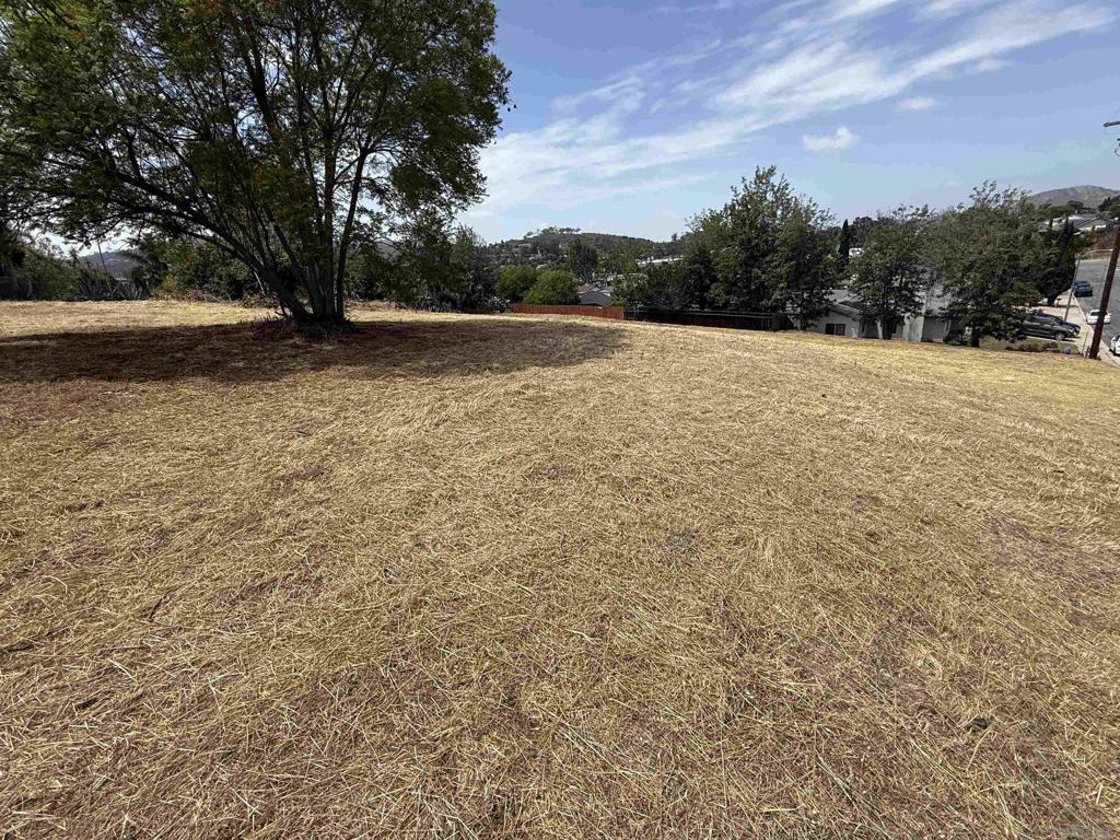 1565 Montiel Rd - photo 18
