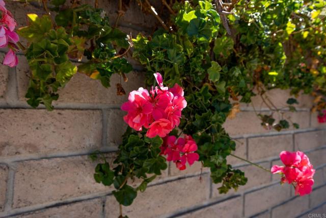 Detail Gallery Image 63 of 75 For 2335 Mirador, Vista,  CA 92084 - 5 Beds | 2/1 Baths