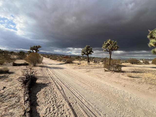 0 Campanula Street, Yucca Valley CA: https://media.crmls.org/mediaz/88c174ea-b56b-4146-be18-48a7b10f82bb.jpg