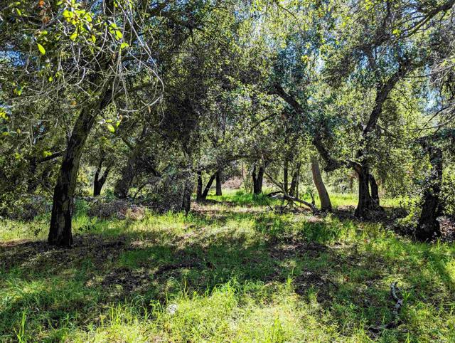 41822 De Luz, Fallbrook, California 92028, ,Residential Land,For Sale,De Luz,NDP2405719