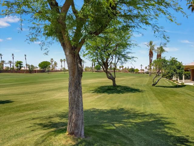 80418 Dumphries Court, Indio CA: https://media.crmls.org/mediaz/88cd506a-82c1-471c-9930-f17967200b01.jpg