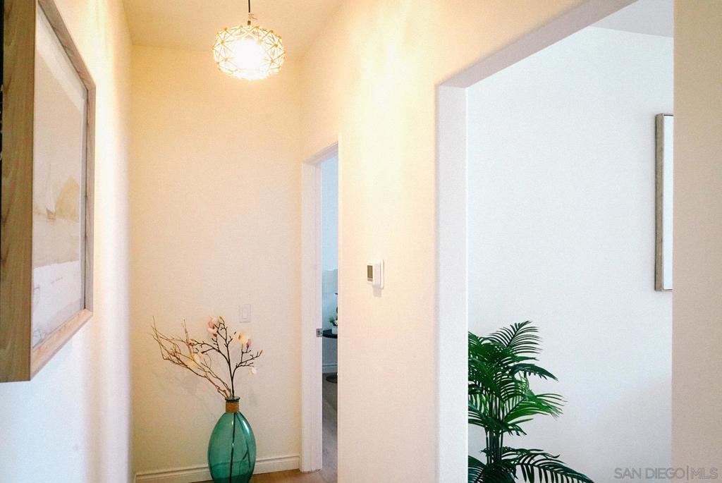 3537 Caminito El Rincon - photo 16