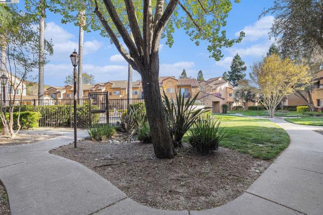 705 WATSON CANYON CT, San Ramon CA: https://media.crmls.org/mediaz/88d4c78b-4a5c-48b5-aa0f-4c4bf1520a6e.jpg