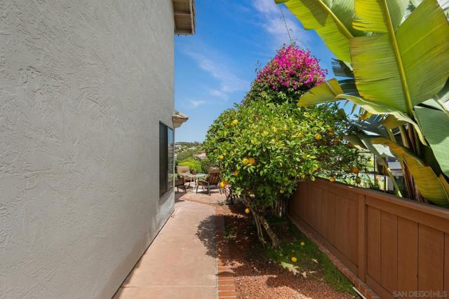 1705 Hawk View Dr, Encinitas CA: https://media.crmls.org/mediaz/88df76e7-acb3-429a-a0ea-2c671ff4e4db.jpg