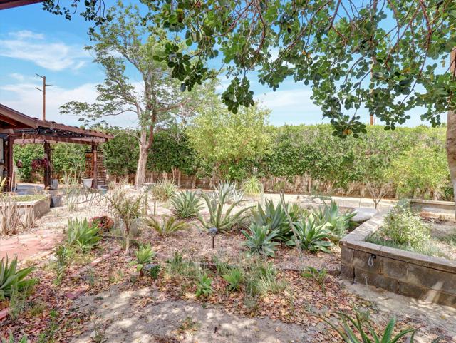 9980 Hoylake Road, Desert Hot Springs CA: https://media.crmls.org/mediaz/88e01edf-5630-468f-b326-1eb7b50dd9aa.jpg