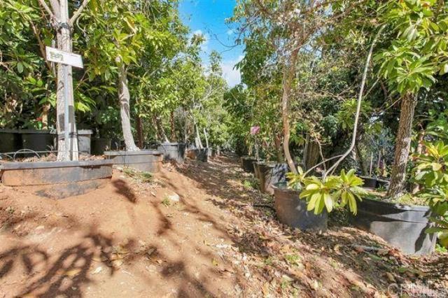 2081 Elevado Road, Vista CA: https://media.crmls.org/mediaz/88e2811b-22e5-43d2-a5b0-d0286524f352.jpg