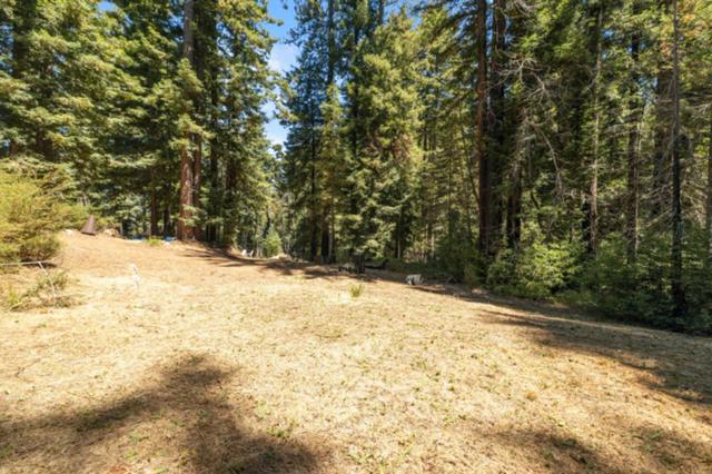 2472 Fanning Grade, Ben Lomond CA: https://media.crmls.org/mediaz/88e4255d-c8c3-4019-b786-6d482004e872.jpg