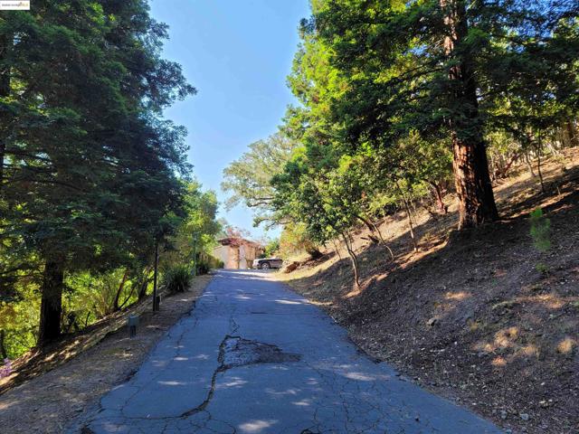 40 Hilldale Ct, Orinda CA: https://media.crmls.org/mediaz/88e43c29-30aa-47c8-b6e1-44622101beb3.jpg