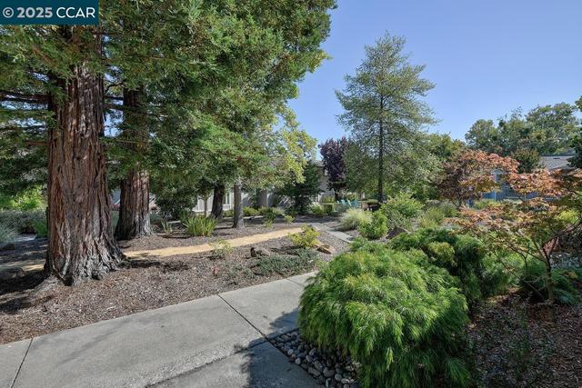 3128 Tice Creek Dr, Walnut Creek CA: https://media.crmls.org/mediaz/88eb2279-28ca-4b60-9afe-09628f03ff54.jpg