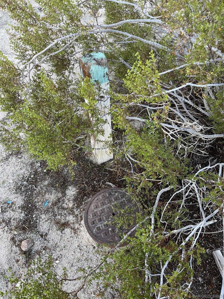 MLS #250041276SD image #8