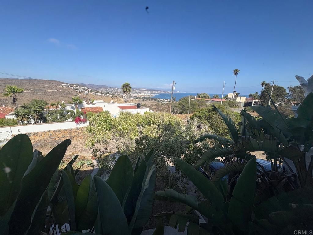 MLS #PTP2506087 image #19