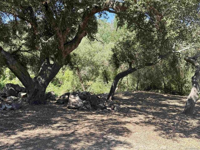 30408 Lennie Dr, Valley Center CA: https://media.crmls.org/mediaz/88f83f7a-2357-455a-8710-cb3c3ade338c.jpg