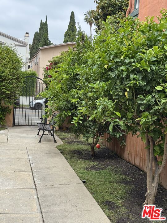 428 S DOHENY Drive, Beverly Hills CA: https://media.crmls.org/mediaz/88f90603-4f0b-430a-9fcd-0c50ad96037c.jpg