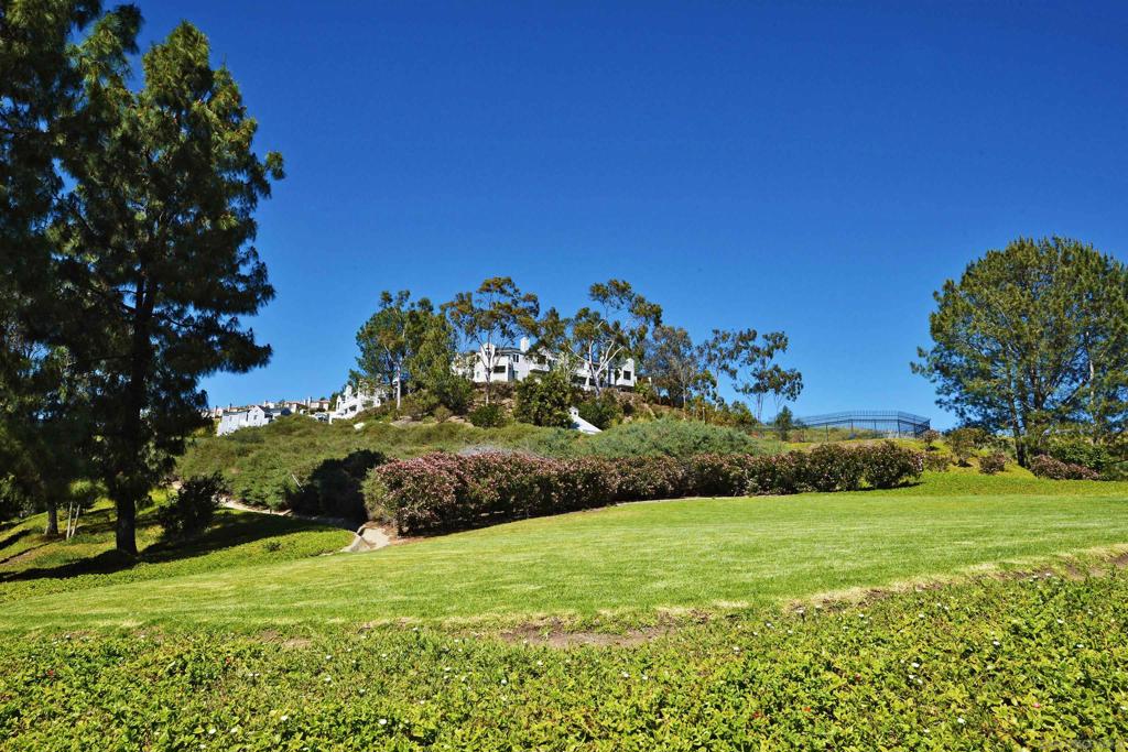 MLS #250031714SD img 18