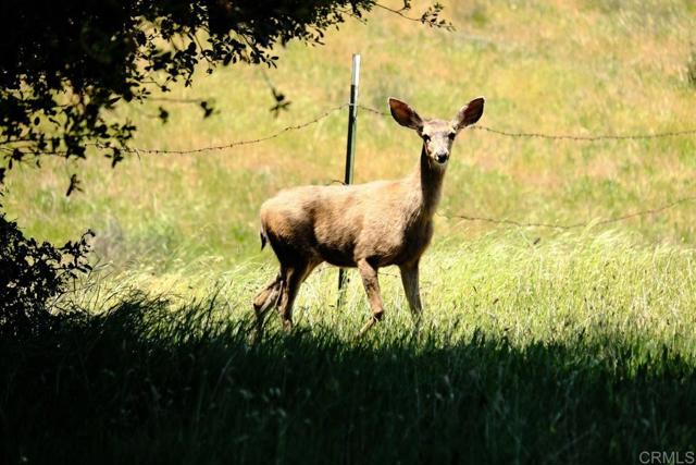 Image 7 of 31 For 3510 Deer Lake Park Road