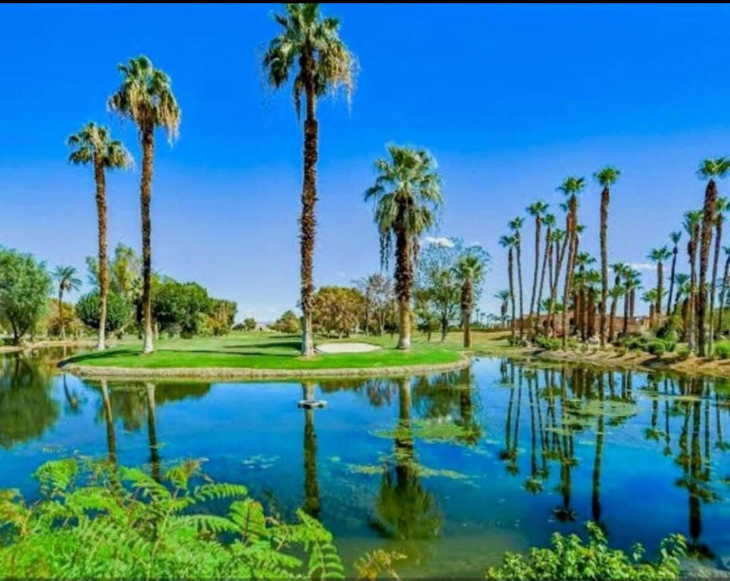 MLS #219138356DA image #86