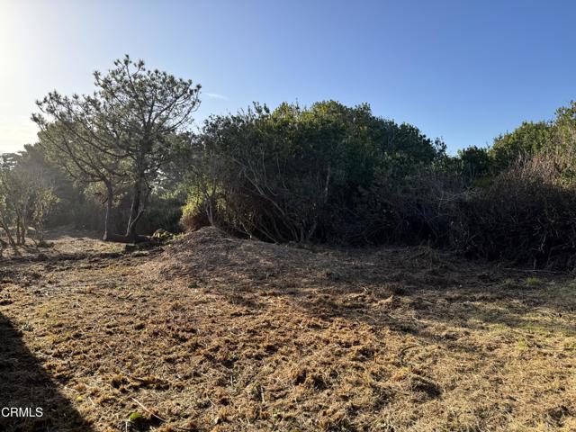 Detail Gallery Image 6 of 10 For 25261 Ward Ave, Fort Bragg,  CA 95437 - – Beds | – Baths