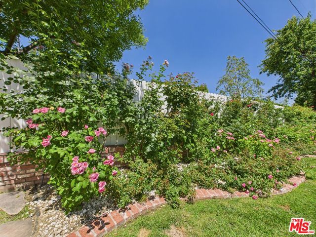 4981 Noeline Avenue, Encino CA: https://media.crmls.org/mediaz/891bf3b1-37b6-499c-9c98-eefcfe2a6c3a.jpg