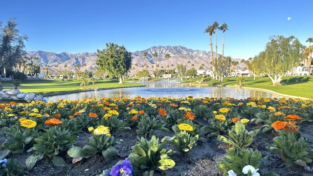 Detail Gallery Image 14 of 18 For 69411 Ramon Rd #617, Cathedral City,  CA 92234 - – Beds | – Baths