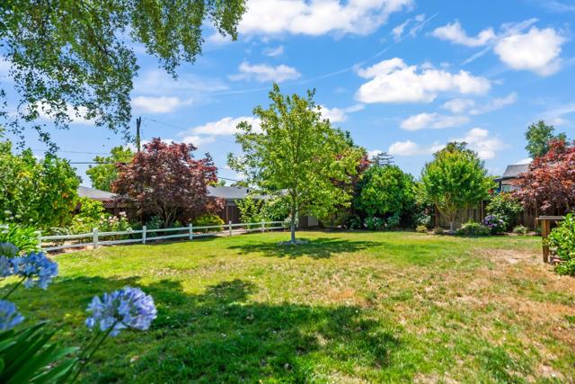 1380 Lillian Avenue, Sunnyvale CA: https://media.crmls.org/mediaz/892cc051-f29c-4b35-bd66-cab39c6e1fff.jpg