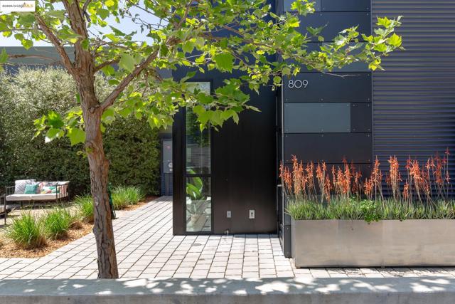 809 Folger Ave, Berkeley CA: https://media.crmls.org/mediaz/892e1ad4-18c1-42cd-bf56-96d3cfa7b905.jpg