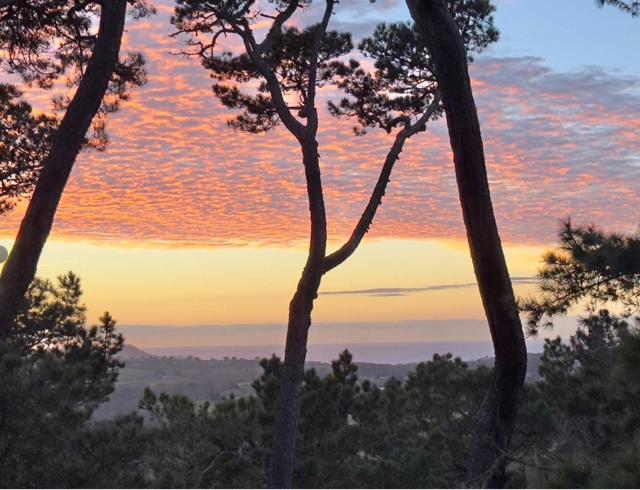 31 Del Mesa Carmel, Carmel CA: https://media.crmls.org/mediaz/89360f21-59c1-41a9-9d20-a65ba9fef94a.jpg