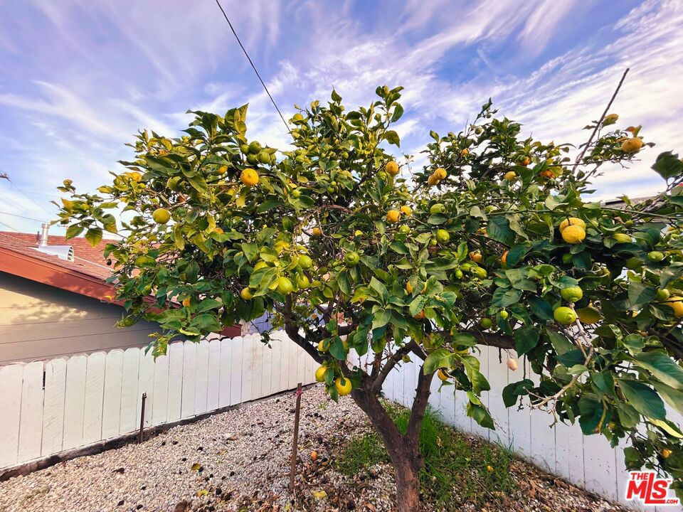 https://media.crmls.org/mediaz/893aa076-e4a1-43a7-bc13-56c4354c6ad1.jpg?preset=X-Large