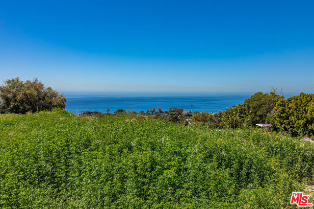 Drew Fenton | 30601 Morning View Drive Malibu CA | MLS: 7173025