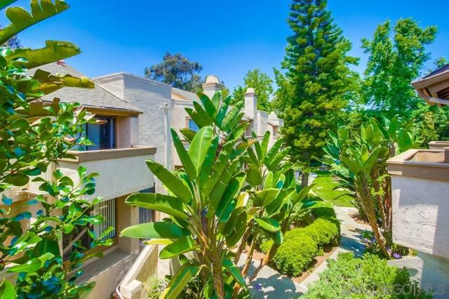 3268 Via Marin, La Jolla CA: https://media.crmls.org/mediaz/895d7951-b7b1-46b4-bafb-d8ae0c511ce3.jpg