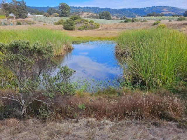 211 Smith Road, Watsonville CA: https://media.crmls.org/mediaz/8961b2e5-8af6-4e5e-91f0-033e1e7de30c.jpg