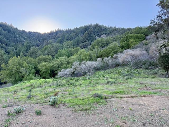 7175 Redwood Retreat Road, Gilroy CA: https://media.crmls.org/mediaz/896421b4-63de-44a8-a3c6-7c6b9f0f8001.jpg