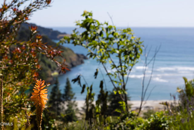 Detail Gallery Image 35 of 47 For 44771 Crestwood Dr, Mendocino,  CA 95460 - 3 Beds | 2/1 Baths