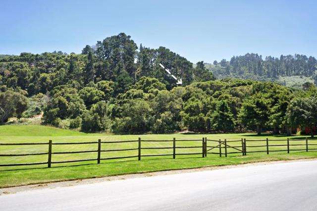 5496 Quail Meadows Drive, Carmel CA: https://media.crmls.org/mediaz/897af4ca-d6b7-4145-8ae6-6cb1ac2cc8eb.jpg