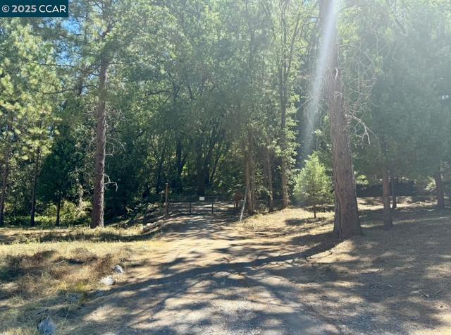 4578 Pretty Good Rd, Placerville CA: https://media.crmls.org/mediaz/897bdfa7-b086-4e4a-a718-78f40cf1a3c7.jpg