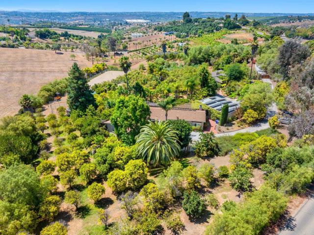 Front Image Thumbnail for CRNDP2507854