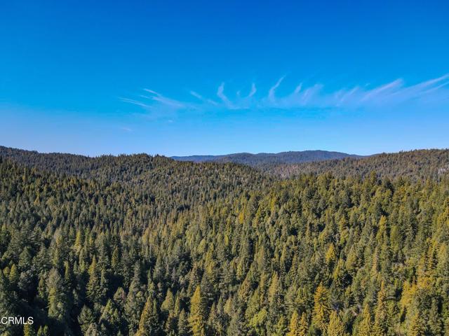 0 Irmulco Road, Willits CA: https://media.crmls.org/mediaz/89927778-7a02-4565-a197-491a5a51355c.jpg