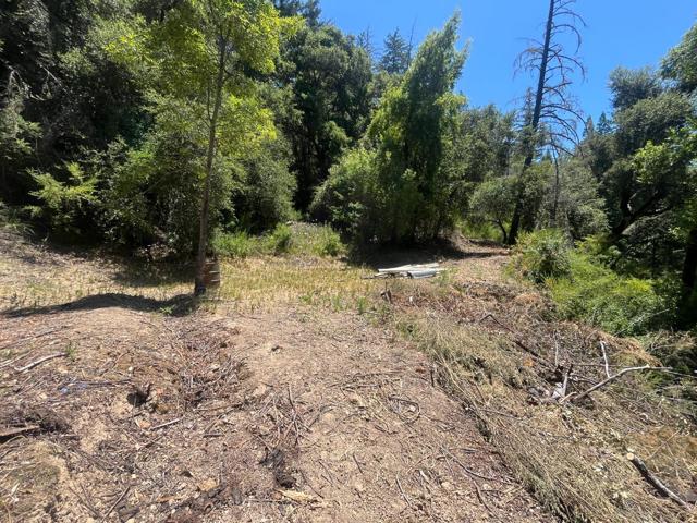 0 Deer Creek (Lot 21), Boulder Creek CA: https://media.crmls.org/mediaz/89950a78-3731-4ad3-9301-cde2b07c6f6f.jpg