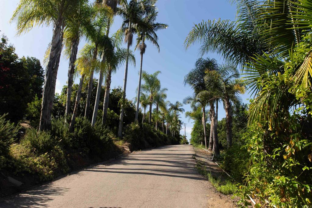 MLS #NDP2505846 image #27