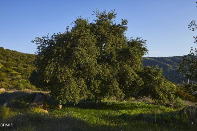 Detail Gallery Image 9 of 48 For 12179 Koenigstein Rd, Santa Paula,  CA 93060 - 3 Beds | 2 Baths