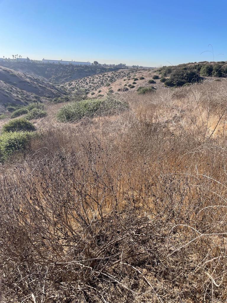 MLS #PTP2407091 image #18